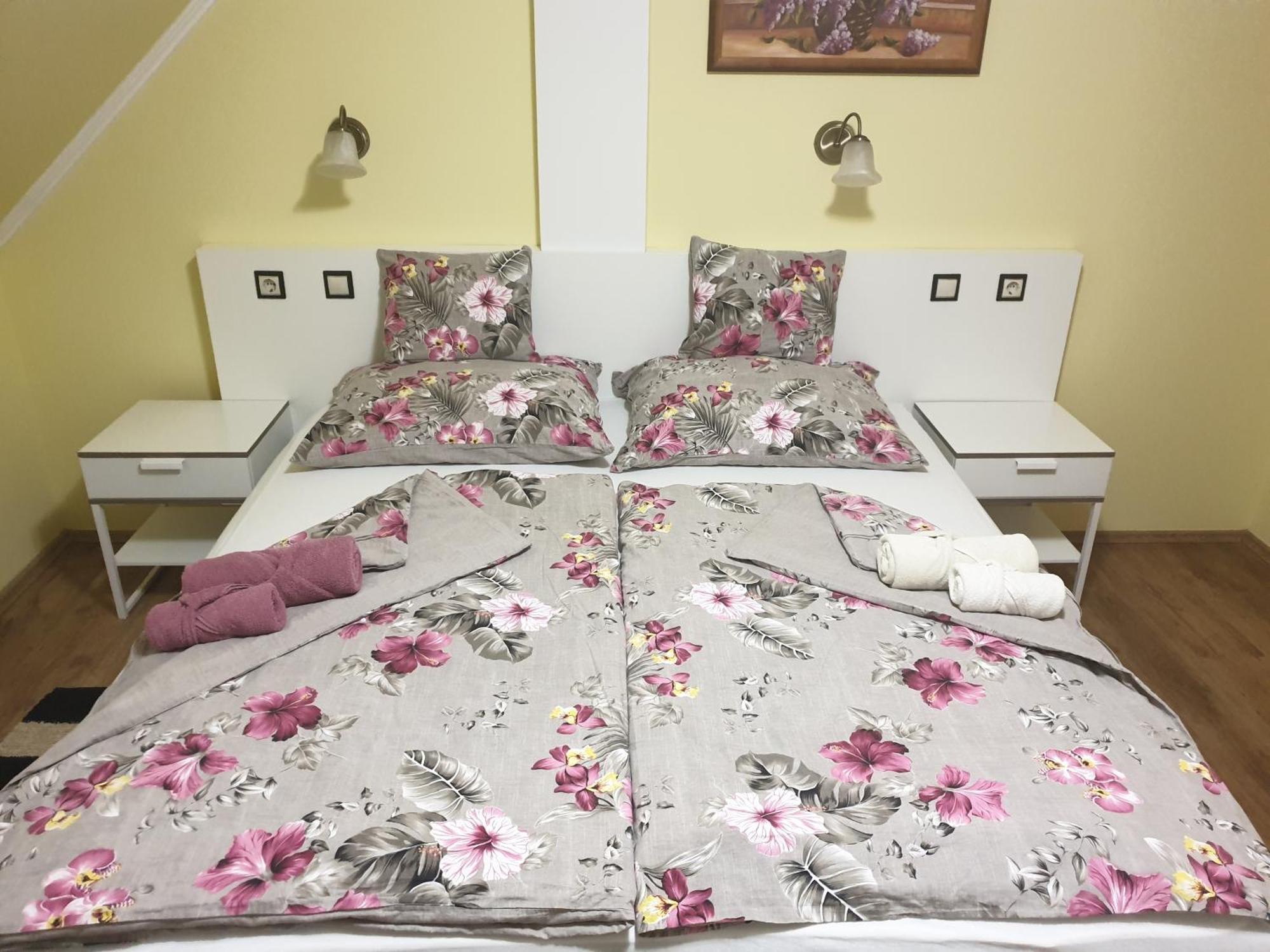 Gyula Apartment